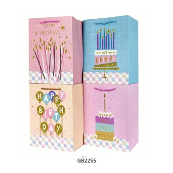 Multi Size Gift Bag-Birthday Colour With Print
