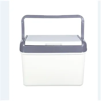 Plastic Cooler Box 6L-Blue&Green