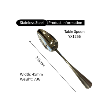 Table Spoon Stainless Steel 22cm